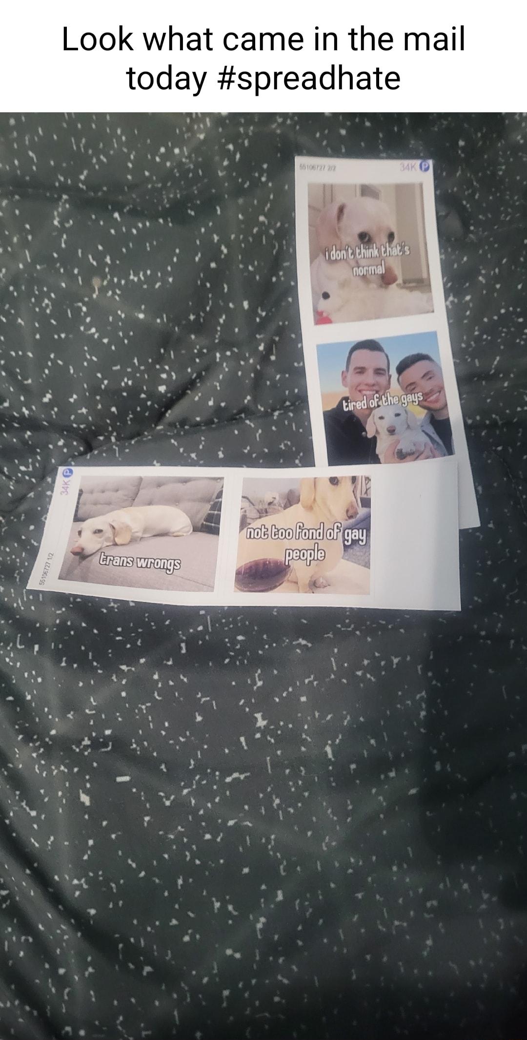 Look what came in the mail today spreadhate L