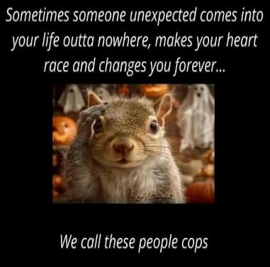 Sometimes someone unexpected comes into your life outta nowhere, makes your heart race and changes you forever... We call these people cops