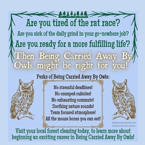 Are you tired of the rat race Are you sick of the daily grind in your go nowhere job Kre you ready for a more fulfilling life T s e oy b No stressful deadlines No cramped cubicles No exhausting commute Soothing nature sounds Team focused atmosphere All the mouse hones you can eat Visit your local forest cleintoday Tearn more about beginning an exciting career in Being Carried Away By Owls