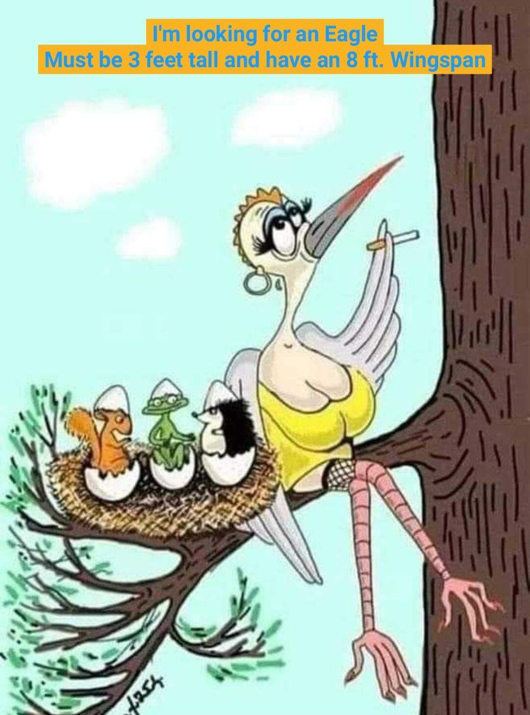 Im looking for an Eagle Must be 3 feet tall and have an 8 ft Wingspan