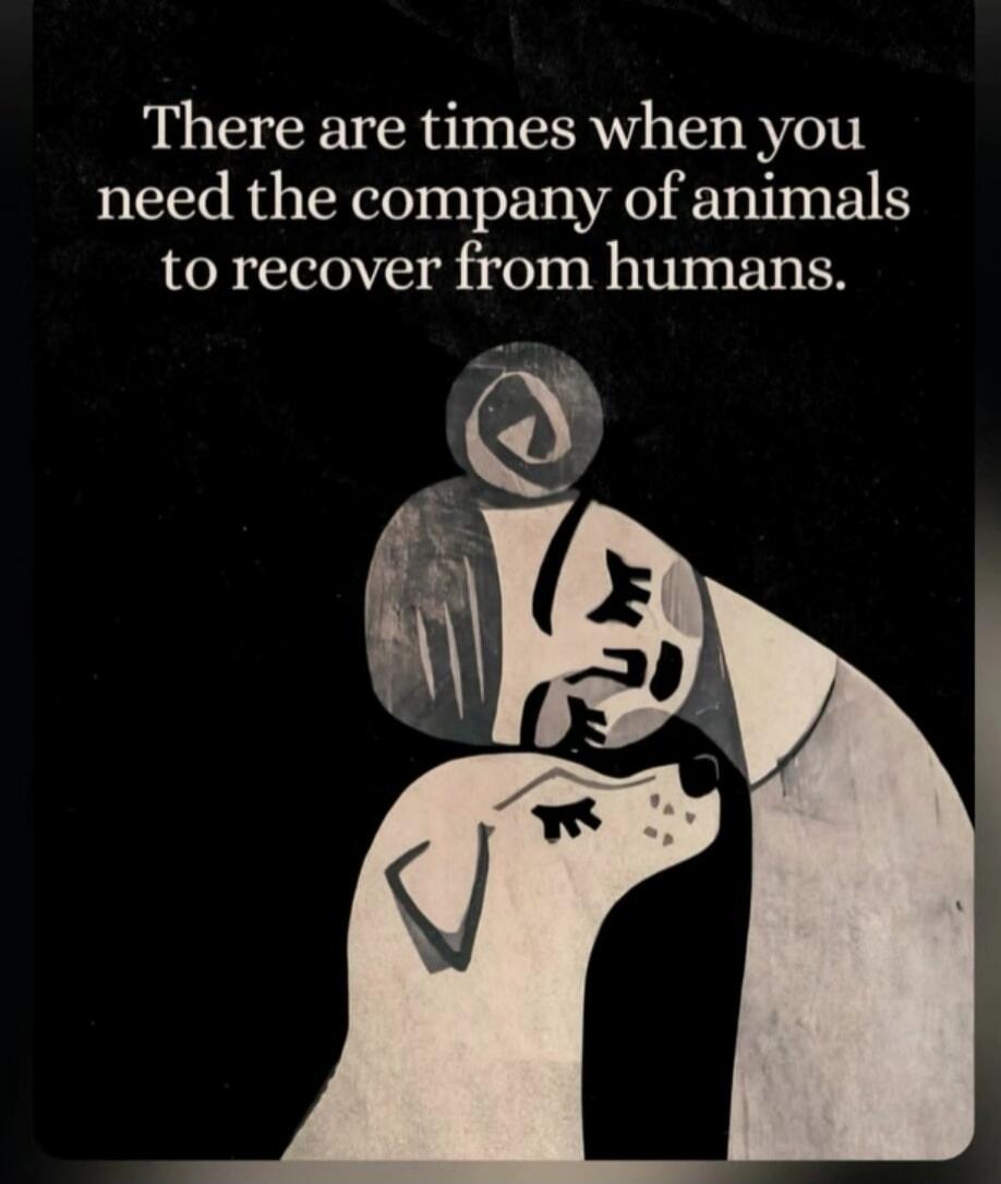 There are times when you need the company of animals to recover from humans.