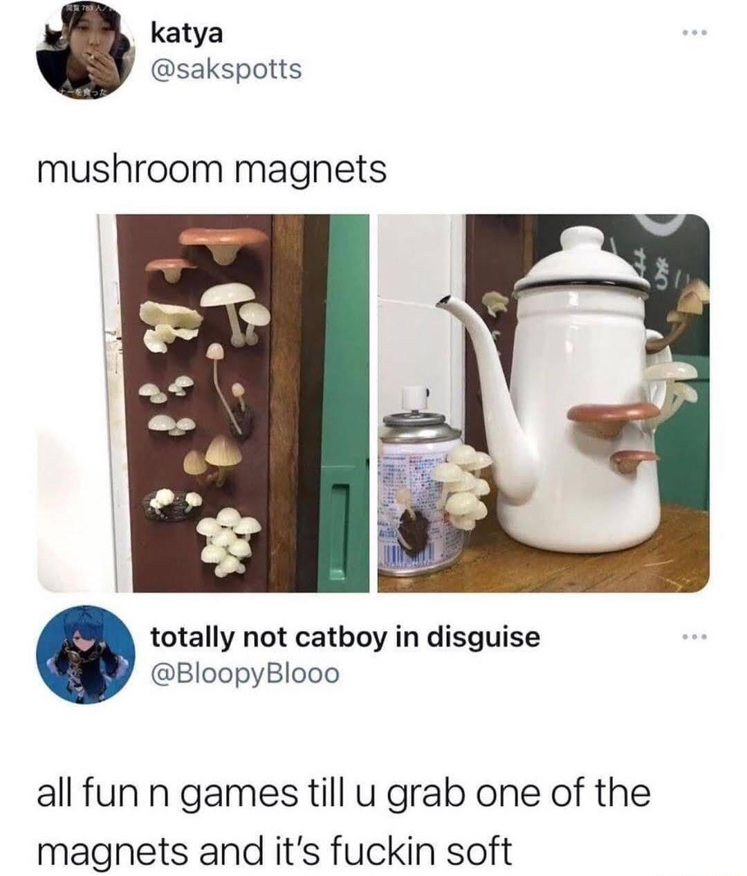 katya sakspotts mushroom magnets totally not catboy in disguise BloopyBlooo all fun n games till u grab one of the magnets and its fuckin soft
