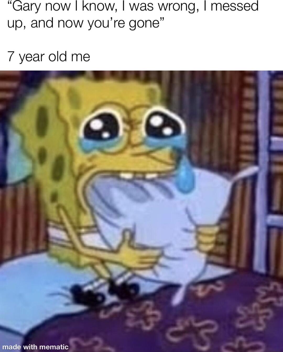 messed up and now youre gone 7 year old me B with mematic