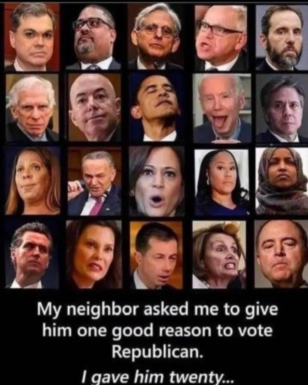 My neighbor asked me to give him one good reason to vote Republican. I gave him twenty...