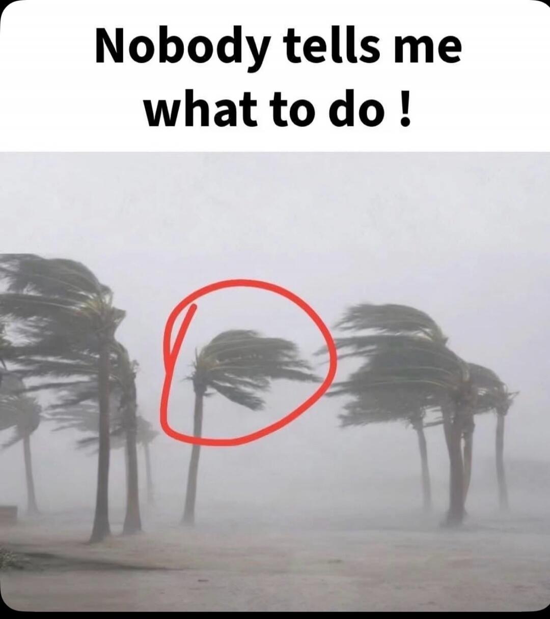 Nobody tells me what to do !