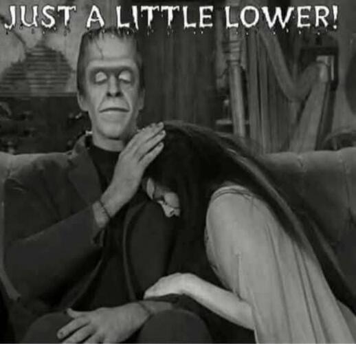 JUST A LITTLE LOWER!