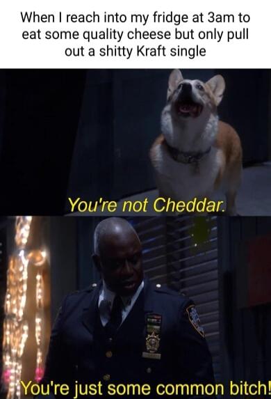 When reach into my fridge at 3am to eat some quality cheese but only pull out a shitty Kraft single Youre not Cheddar oure just some common bitch