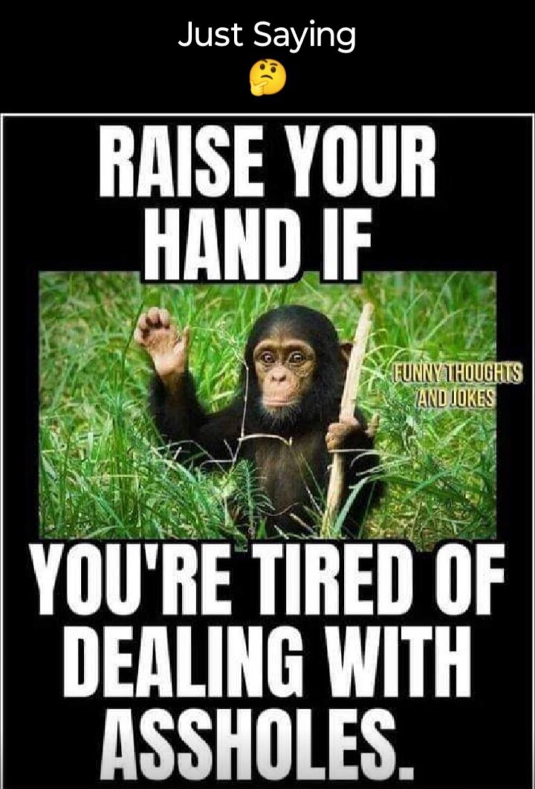 Just Saying. Raise your hand if you're tired of dealing with assholes. Funny Thoughts and Jokes.