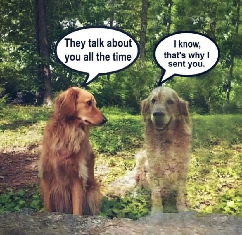 1 know thats why sent you