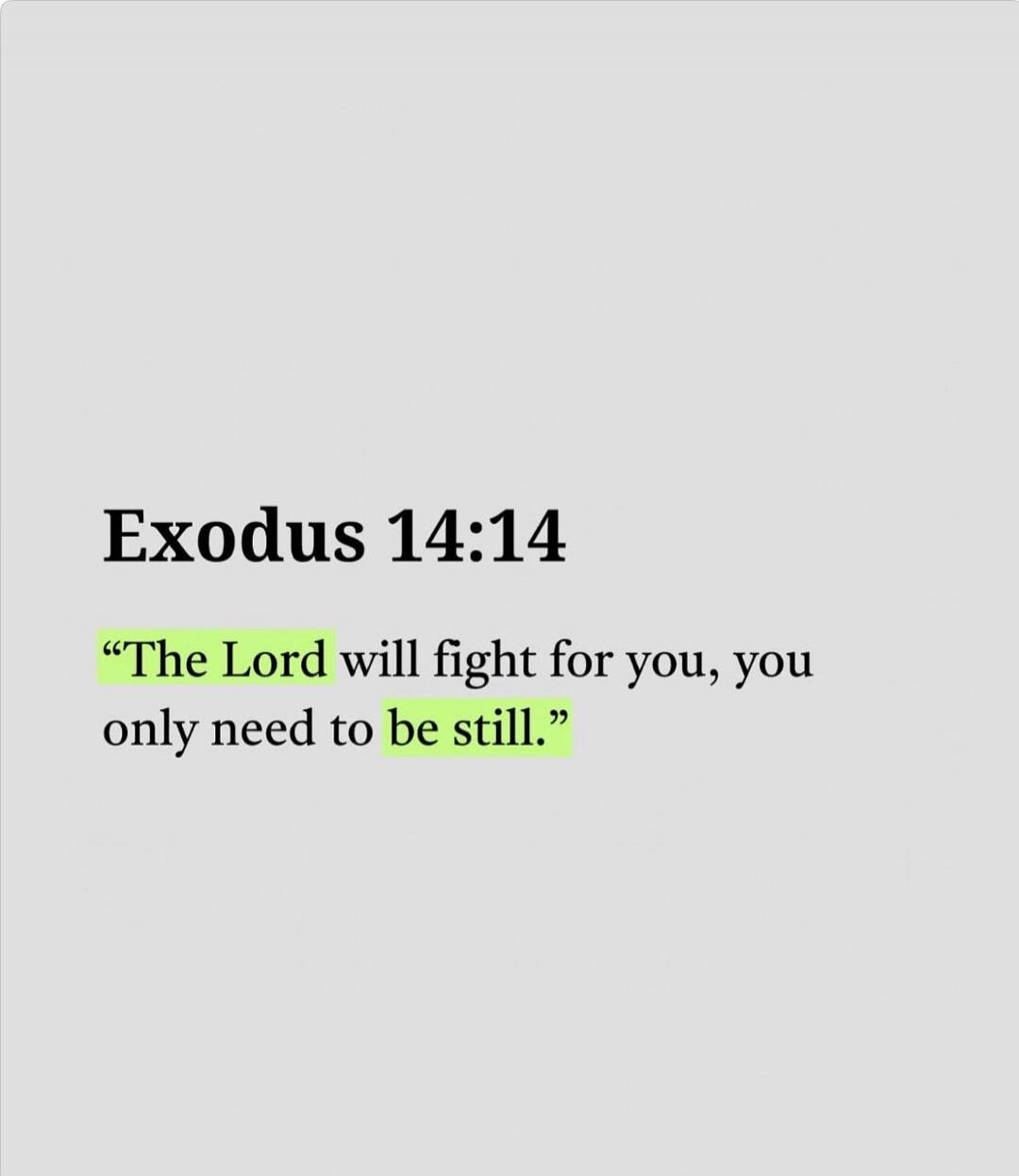Exodus 14:14 “The Lord will fight for you, you only need to be still.”