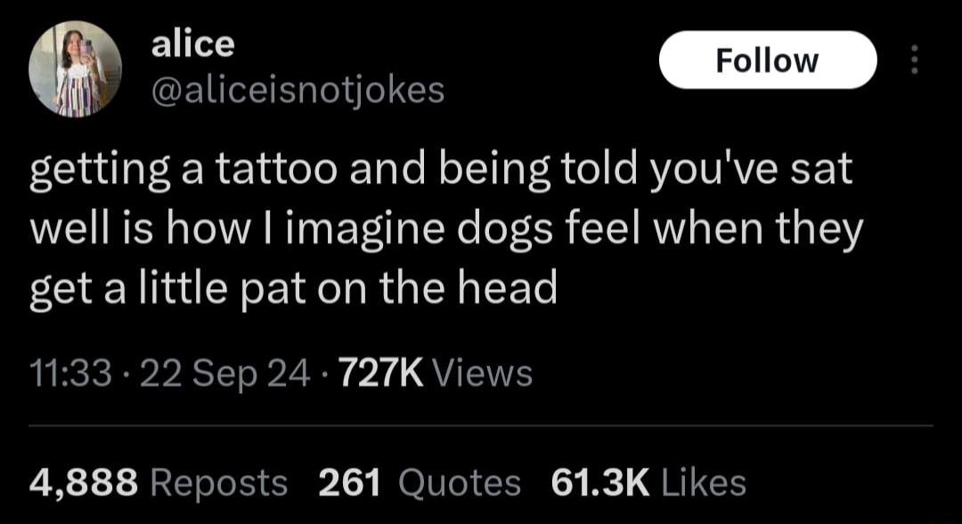 aliceisnotjokes getting a tattoo and being told youve sat well is how imagine dogs feel when they get a little pat on the head LSRRV P2 1 QUENTE 11 REREEICE 1 IR K QRIIGHE