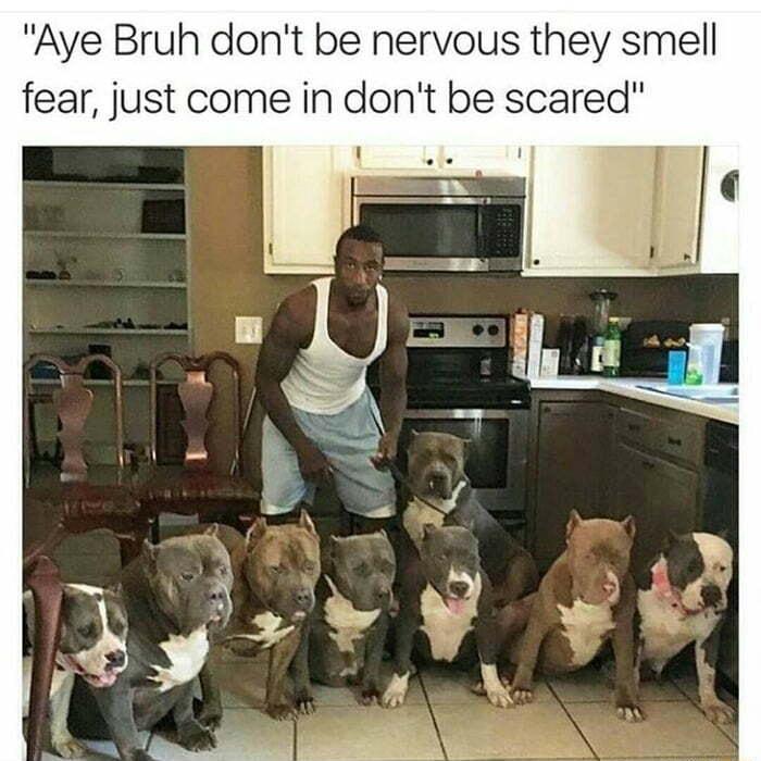 Aye Bruh dont be nervous they smell fear just come in dont be scared