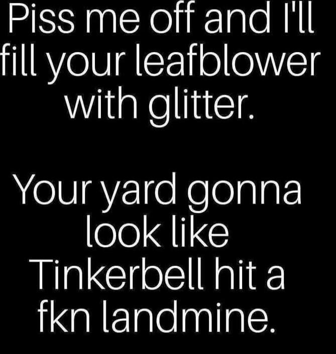 Piss me off and I'll fill your leafblower with glitter.
Your yard gonna look like Tinkerbell hit a fkn landmine.