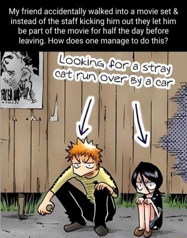 My friend accidentally walked into a movie set & instead of the staff kicking him out they let him be part of the movie for half the day before leaving. How does one manage to do this? Looking for a stray cat run over by a car