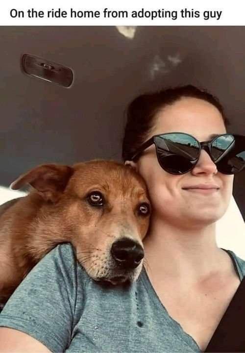 ride home from adopting this guy