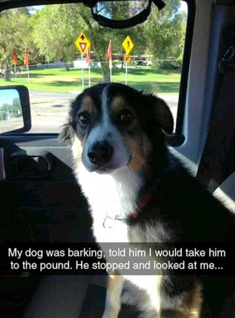 My dog was barking to the pound He stof I GREVCR T