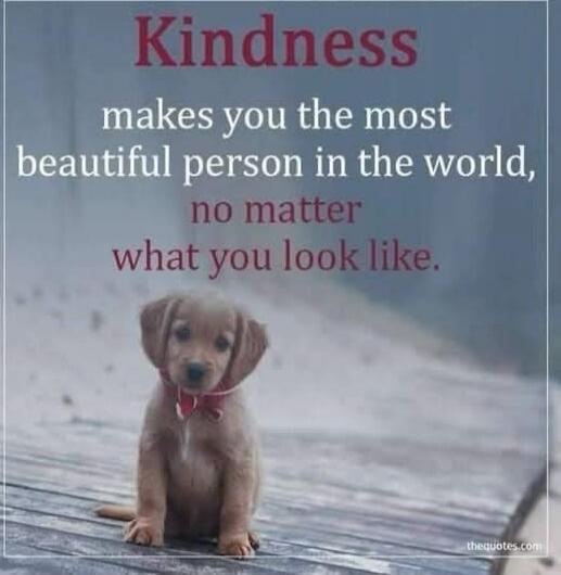 Kindness makes you the most beautiful person in the world, no matter what you look like.