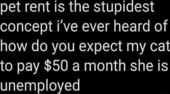 pet rent is the stupidest concept ive ever heard of how do you expect my cat to pay 50 a month she is unemployed