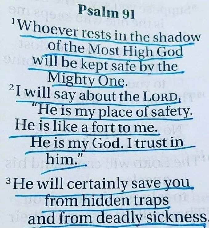 Psalm 91. Whoever rests in the shadow of the Most High God will be kept safe by the Mighty One. I will say about the LORD, 