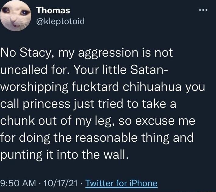 2 LLLTER kleptotoid No Stacy my aggression is not uncalled for Your little Satan Wele aloToaT Ri0le Ie Nel sl s VE 1 W R Vo call princess just tried to take a chunk out of my leg so excuse me for doing the reasonable thing and punting it into the wall 950 AM 101721 Twitter for iPhone
