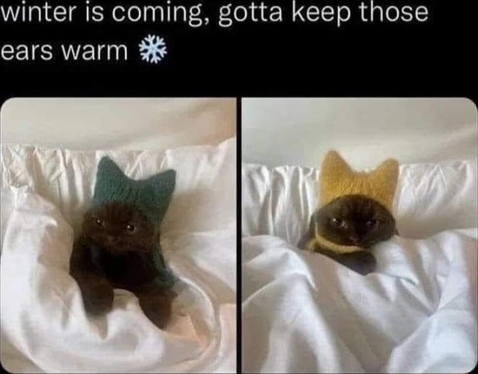 winter Is coming gotta keep those ears warm