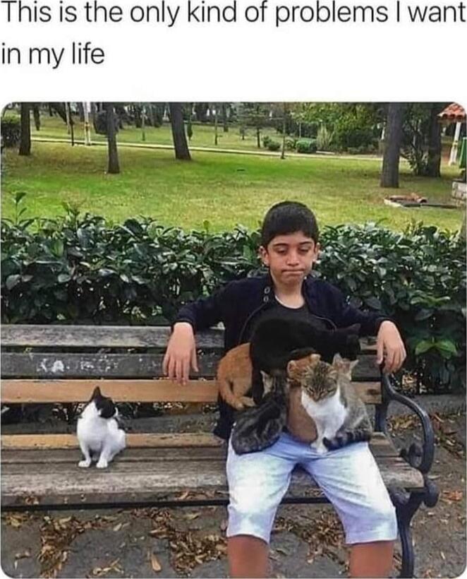 Thisis the only in my life