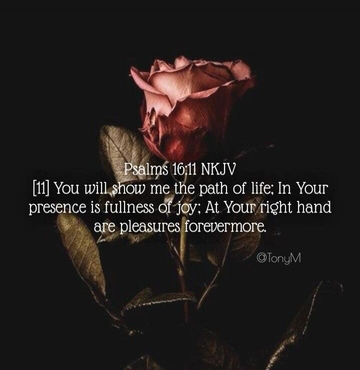 Psalms 16:11 NKJV [11] You will show me the path of life; In Your presence is fullness of joy; At Your right hand are pleasures forevermore.