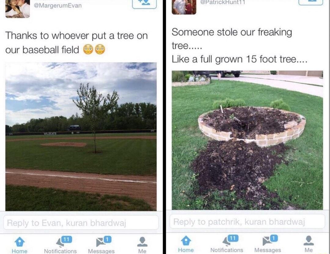 Thanks to whoever put atree on Someone stole our freaking ree Like a full grown 15 foot tree our baseball field