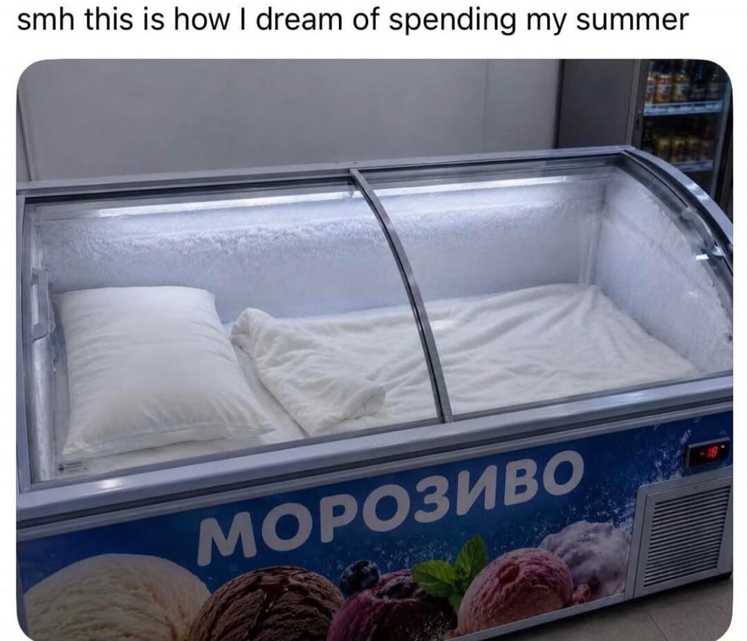smh this is how I dream of spending my summer