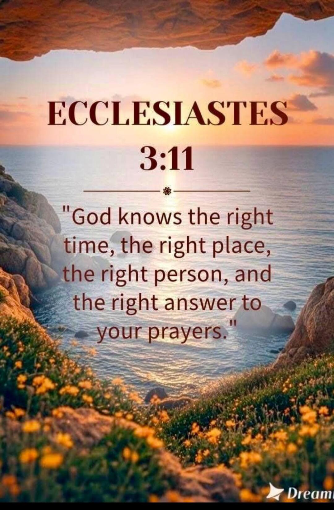 ECCLESIASTES 3:11 