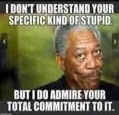 I DON'T UNDERSTAND YOUR SPECIFIC KIND OF STUPID. BUT I DO ADMIRE YOUR TOTAL COMMITMENT TO IT.