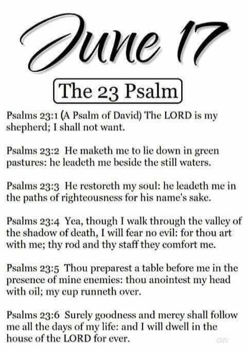 June 17 The 23 Psalm Psalms 23:1 (A Psalm of David) The LORD is my shepherd; I shall not want. Psalms 23:2 He maketh me to lie down in green pastures: he leadeth me beside the still waters. Psalms 23:3 He restoreth my soul: he leadeth me in the paths of righteousness for his name's sake. Psalms 23:4 Yea, though I walk through the valley of the shad