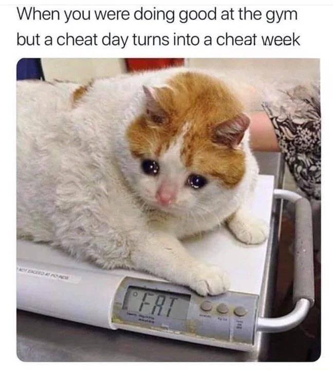 When you were doing good at the gym but a cheat day turns into a cheat week