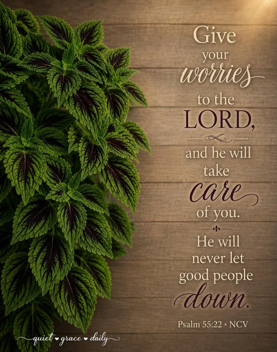 Give your worries to the LORD, and he will take care of you. He will never let good people down. Psalm 55:22 • NCV quiet grace daily