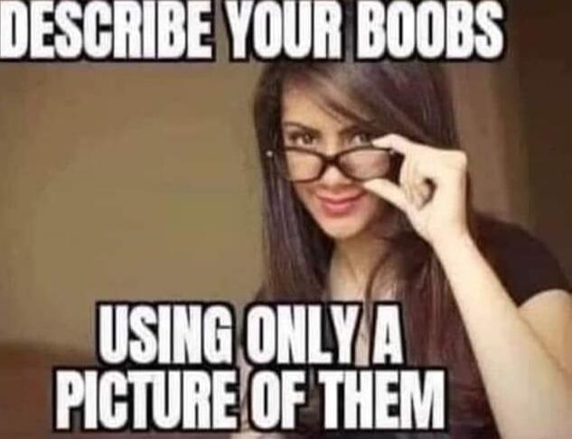 DESCRIBE YOUR BOOBS
USING ONLY A PICTURE OF THEM