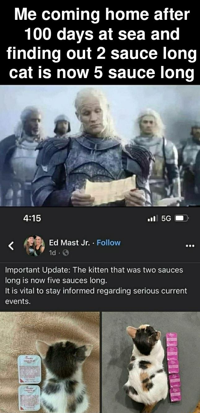 Me coming home after 100 days at sea and finding out 2 sauce long cat is now 5 sauce long A Ed Mast Jr Follow o AR TR Important Update The kitten that was two sauces long is now five sauces long Itis vital to stay informed regarding serious current events