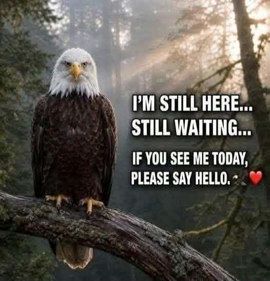 I'M STILL HERE... STILL WAITING... IF YOU SEE ME TODAY, PLEASE SAY HELLO. ❤️