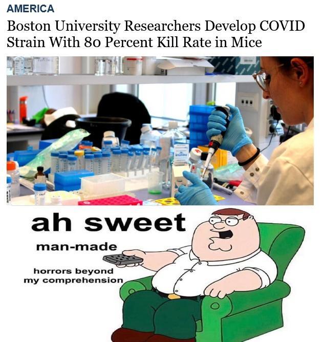 AMERICA Boston University Researchers Develop COVID Strain With 80 Percent Kill Rate in Mice ah sweet man made horrors beyond my comprehension
