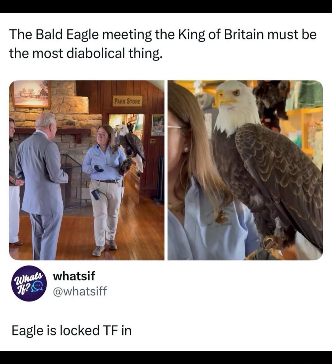 The Bald Eagle meeting the King of Britain must be the most diabolical thing. PARK STORE. Eagle is locked TF in.