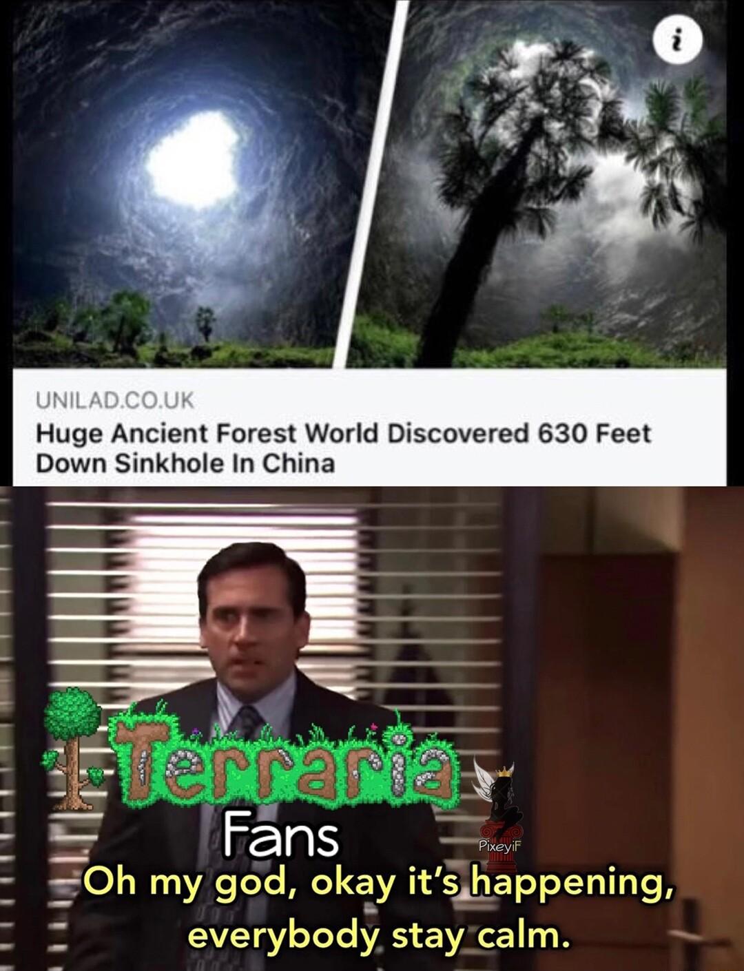 Huge Ancient Forest World Discovered 630 Feet Down Sinkhole In China LI AT R okay 13 sbappenmg everybody stay calm
