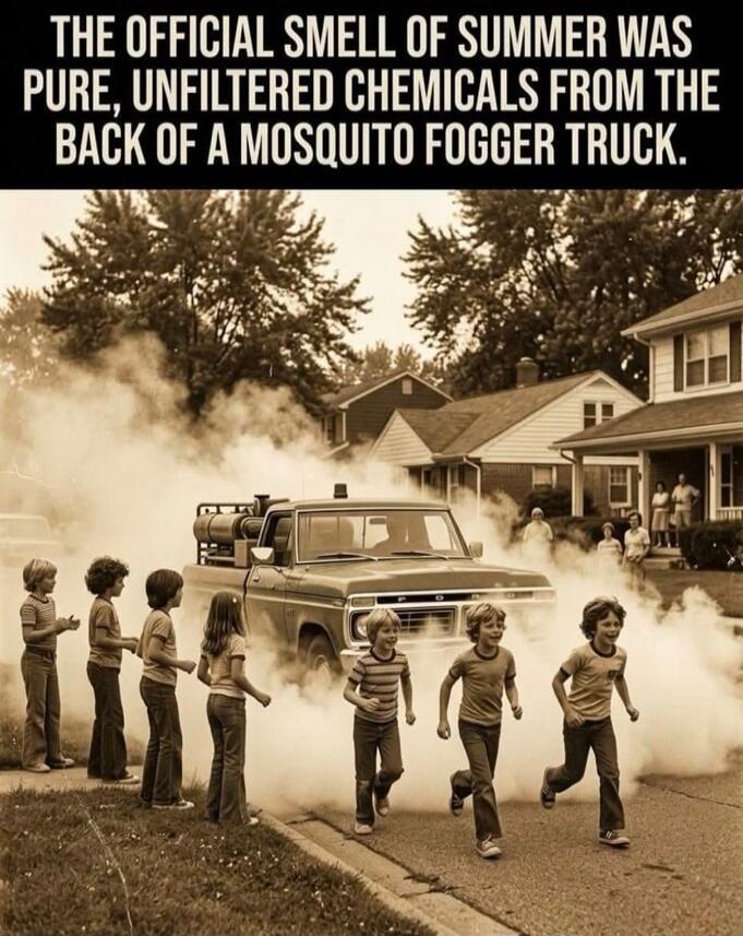 THE OFFICIAL SMELL OF SUMMER WAS PURE, UNFILTERED CHEMICALS FROM THE BACK OF A MOSQUITO FOGGER TRUCK.