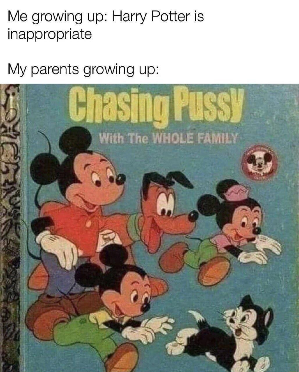 Me growing up Harry Potter is inappropriate My parents growing up I i _l WI L iVl s i 8 g q