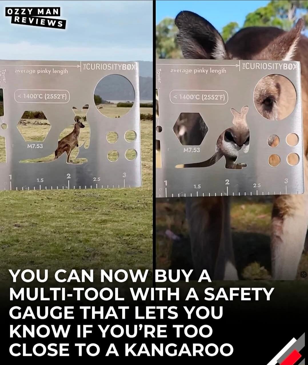 OZZY MAN REVIEWS CURIOSITYBOX average pinky length < 1400°C (2552°F) M7.53 YOU CAN NOW BUY A MULTI-TOOL WITH A SAFETY GAUGE THAT LETS YOU KNOW IF YOU'RE TOO CLOSE TO A KANGAROO