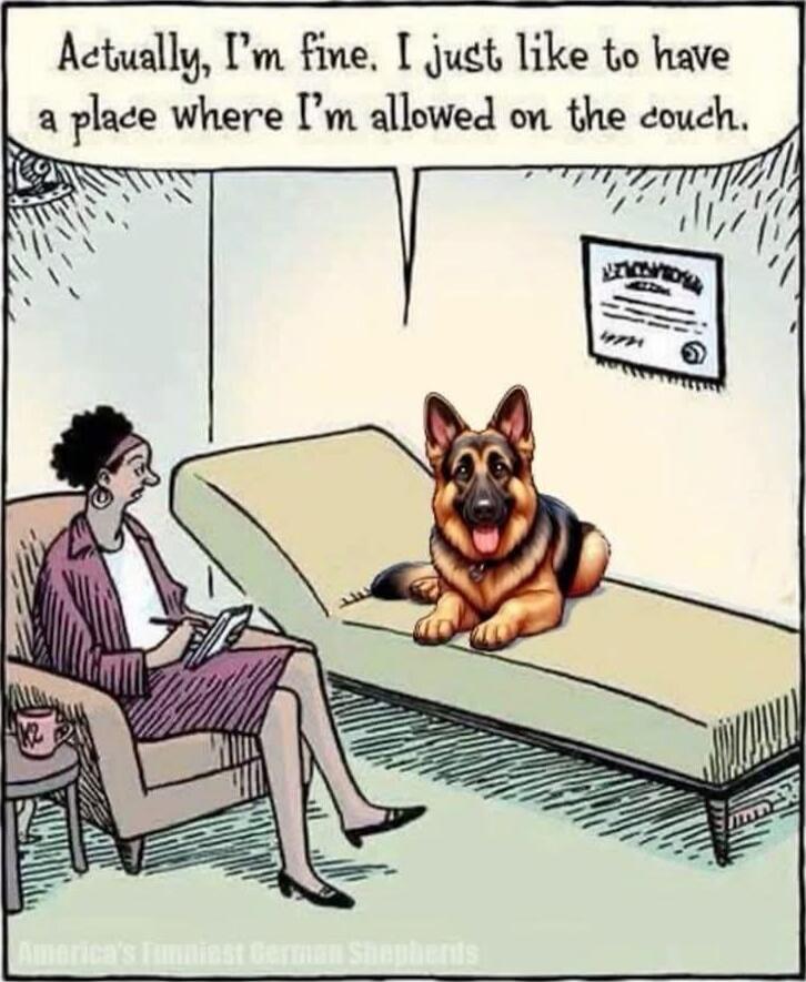 Actually, I'm fine. I just like to have a place where I'm allowed on the couch.