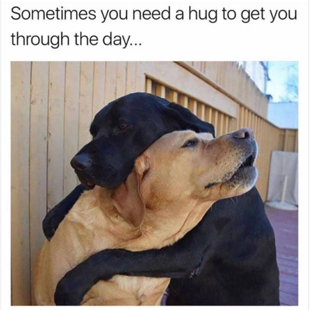 Sometimes you need a hug to get you through the day N