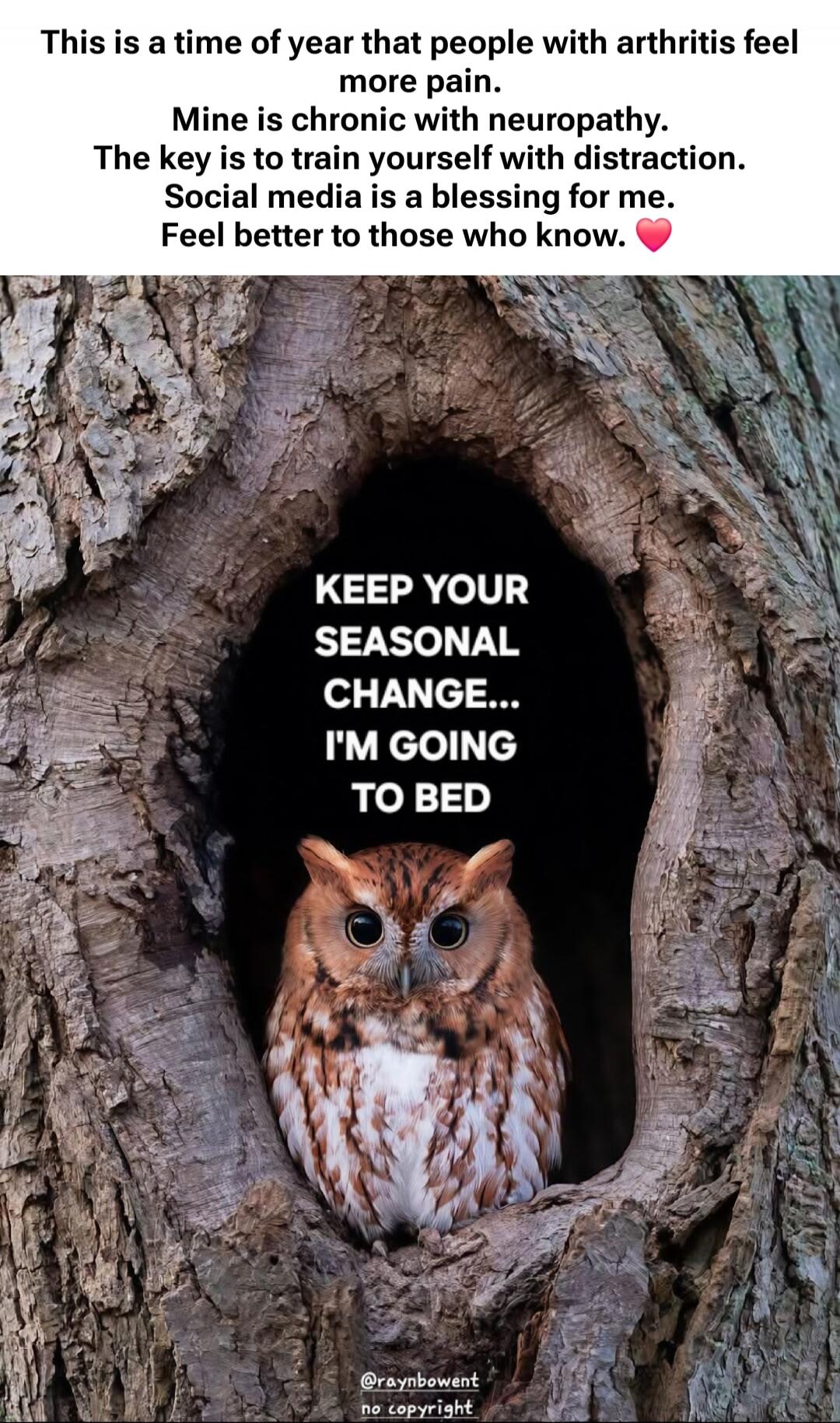 This is a time of year that people with arthritis feel more pain. Mine is chronic with neuropathy. The key is to train yourself with distraction. Social media is a blessing for me. Feel better to those who know. ❤️ KEEP YOUR SEASONAL CHANGE... I'M GOING TO BED @raynbowent no copyright