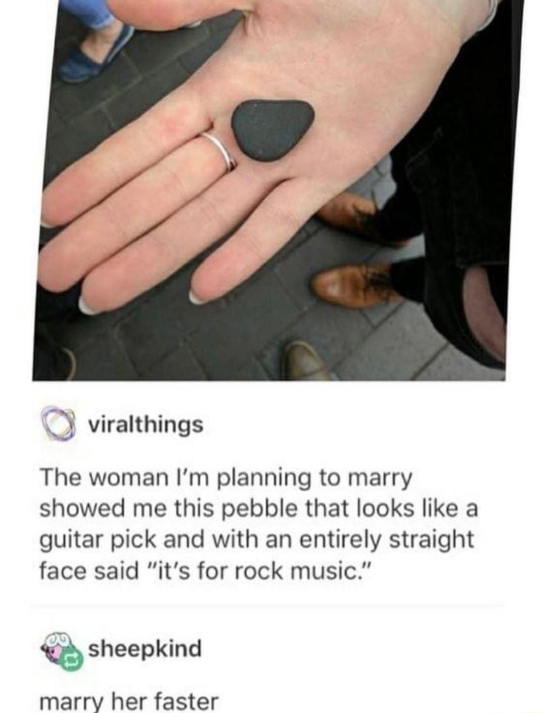 3 viralthings The woman Im planning to marry showed me this pebble that looks like a guitar pick and with an entirely straight face said its for rock music sheepkind marry her faster