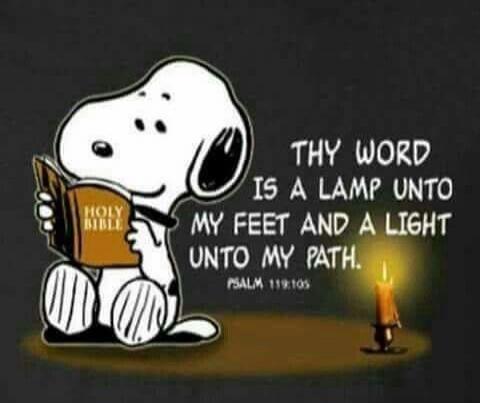 THY WORD IS A LAMP UNTO MY FEET AND A LIGHT UNTO MY PATH. PSALM 119:105. HOLY BIBLE.