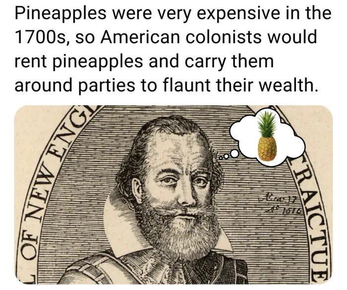 Pineapples were very expensive in the 1700s so American colonists would rent pineapples and carry them around parties to flaunt their wealth