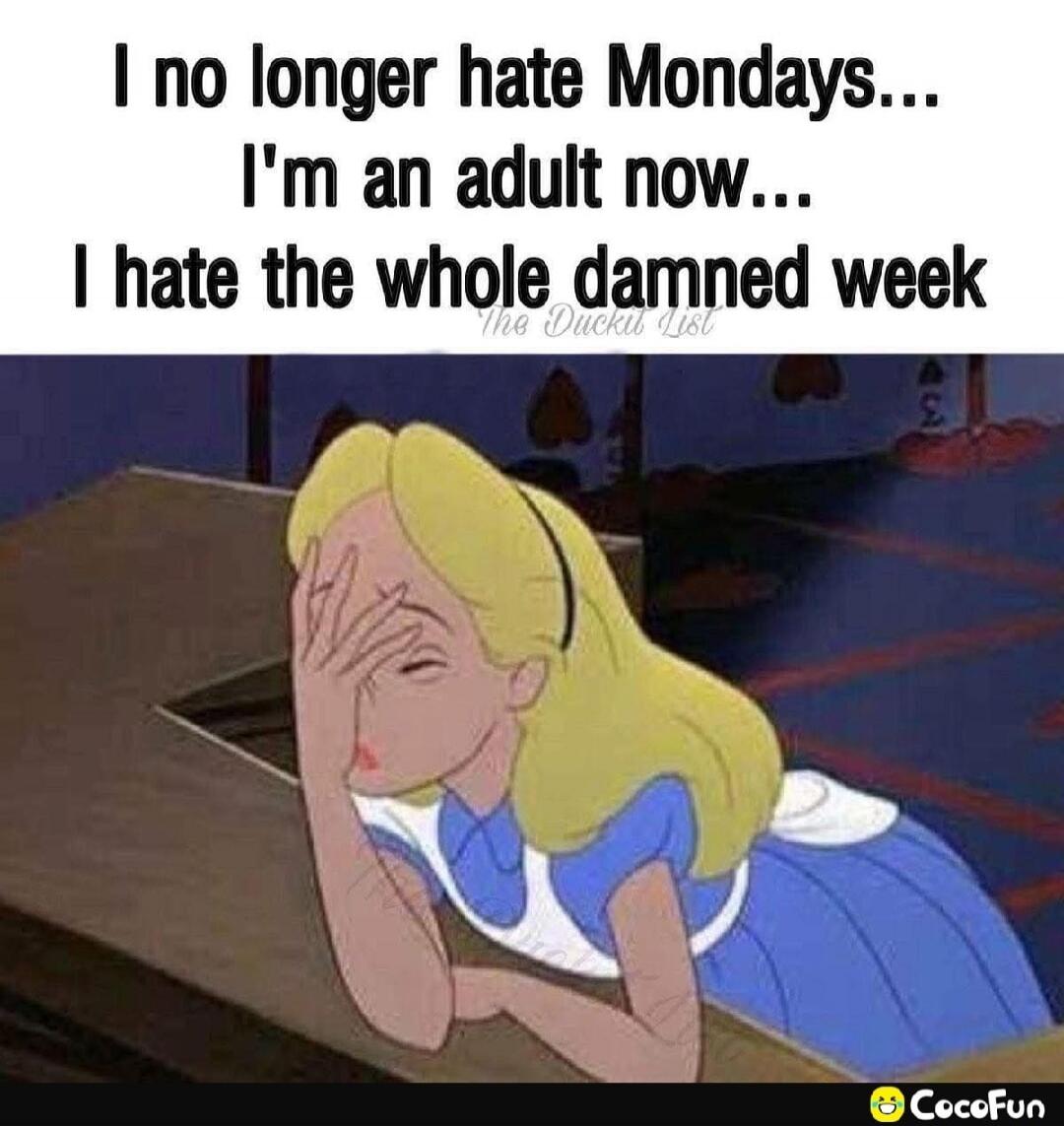 I no longer hate Mondays... I'm an adult now... I hate the whole damned week